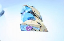 510 Swimmer Strata Cut animation test